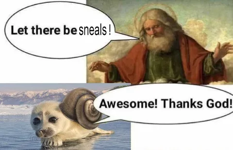 Let There Be Sneals