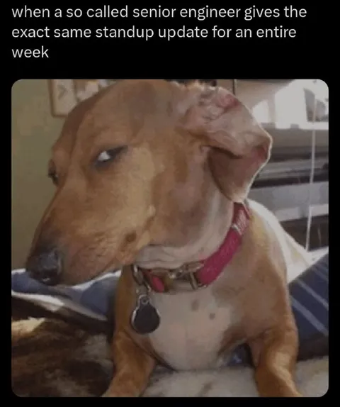 Same Standup Update All Week