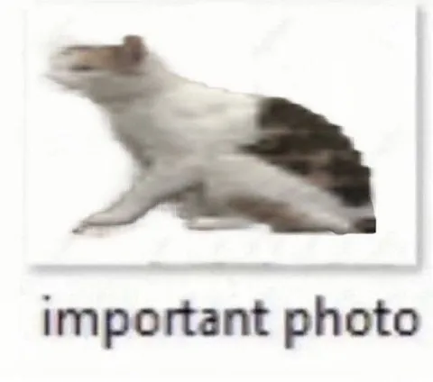 Important Photo Rat