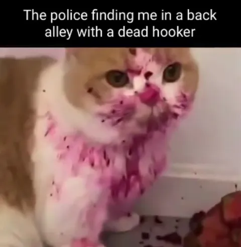 Cat Caught With a Dead Hooker