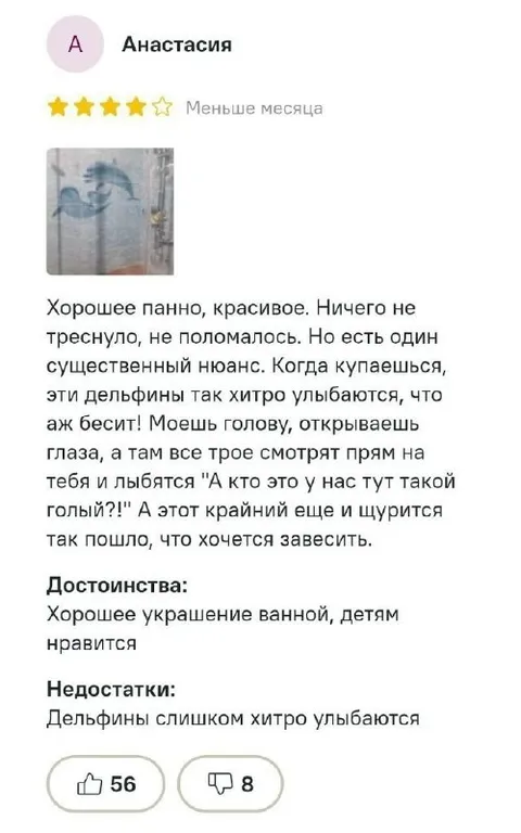Дельфины смотрят в душе