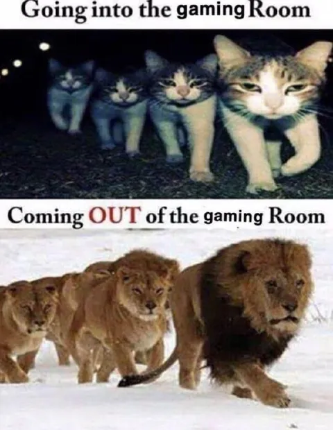 Gaming Room Transformation