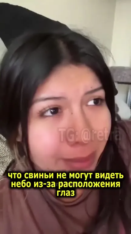 Свинья не видит небо