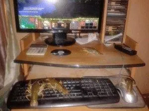 Домашний компьютерный уголок