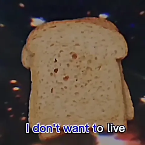 I Don't Want to Live Without You
