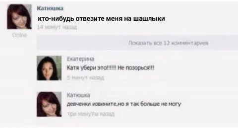 Отвезите меня на шашлыки
