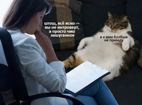 Вы не интроверт, а чмо