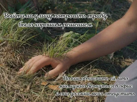 Вернуться в офис после травы
