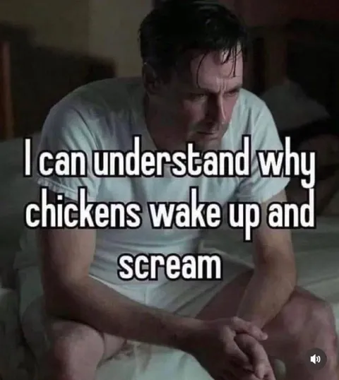Why Chickens Wake Up Screaming