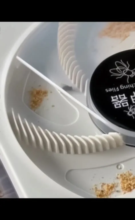苍蝇的最后挣扎