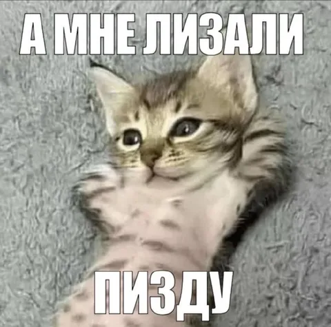 А мне лизали пизду