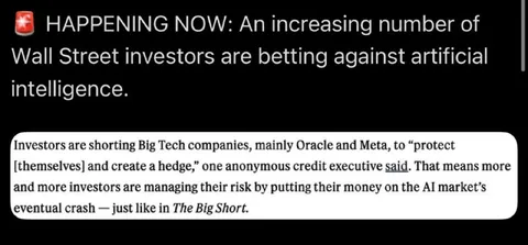Investors Betting Against AI