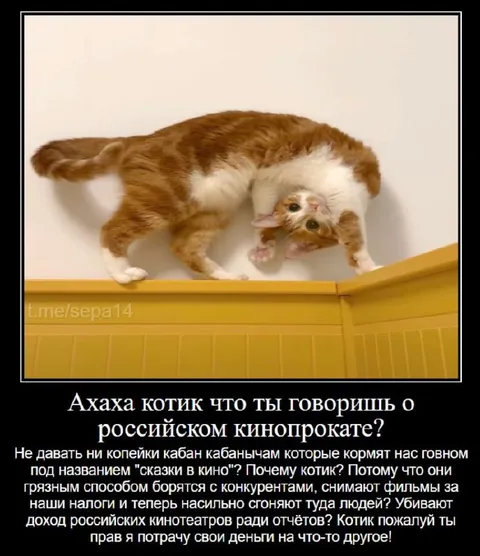 Котик о российском кинопрокате