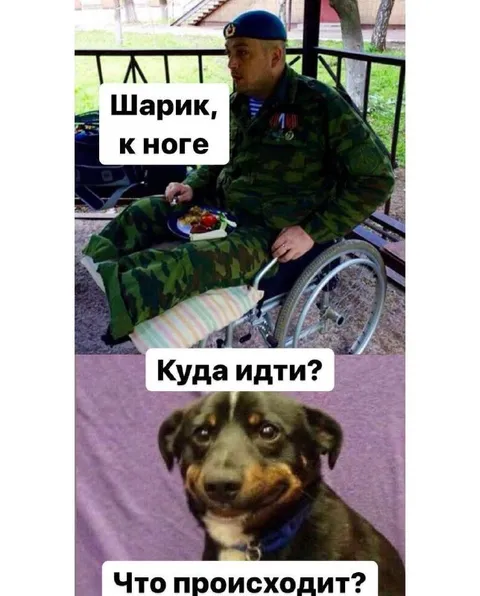 Шарик, к ноге