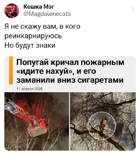 Попугай посылает пожарных