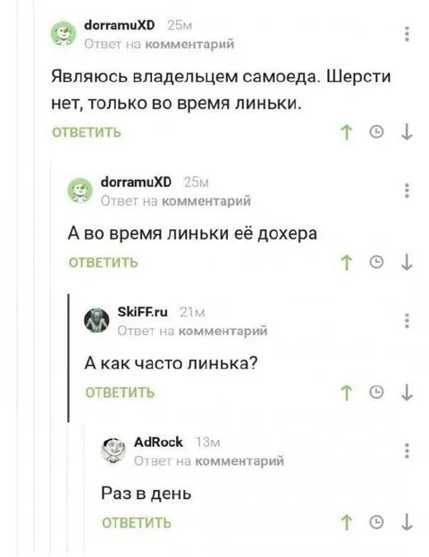 Как часто линька у самоеда