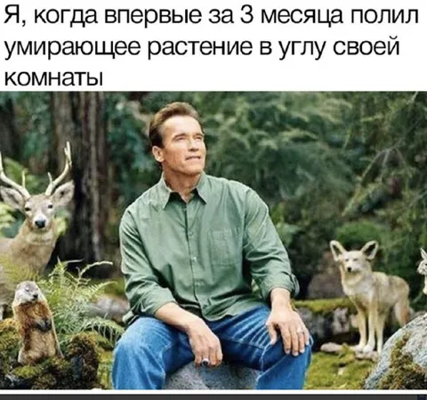 Арнольд спасает умирающее растение