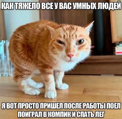 Кот после работы
