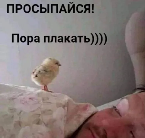 Пора плакать
