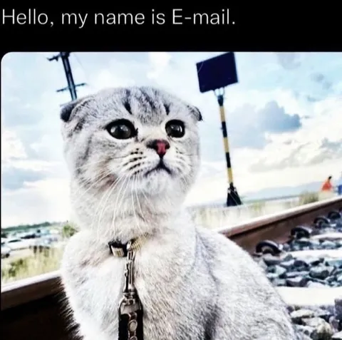 Cat Named E-mail