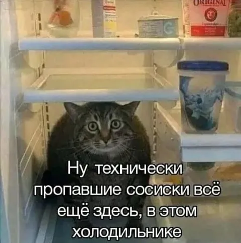 Кот и пропавшие сосиски