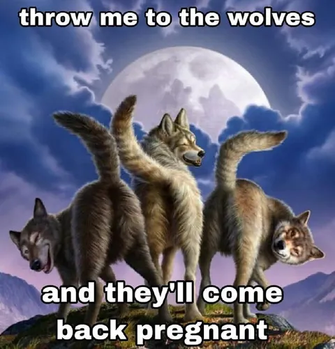 Wolves Come Back Pregnant