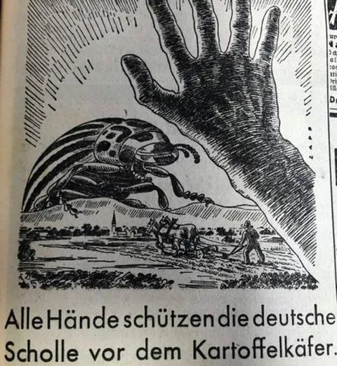 Alle Hände gegen den Kartoffelkäfer