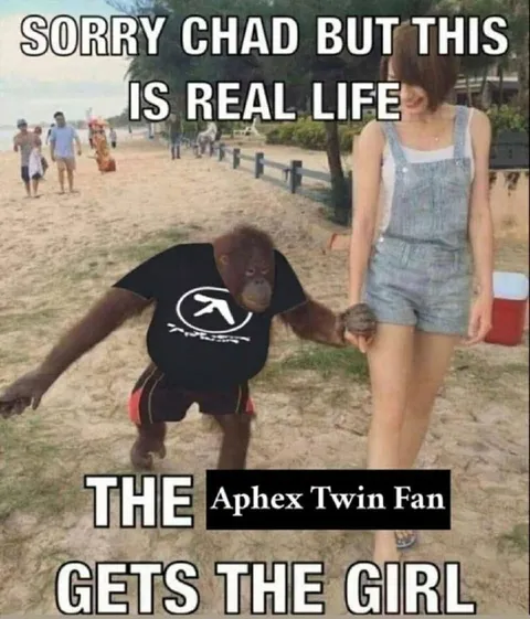 Aphex Twin Fan Gets the Girl