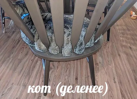 Кот в режиме деления
