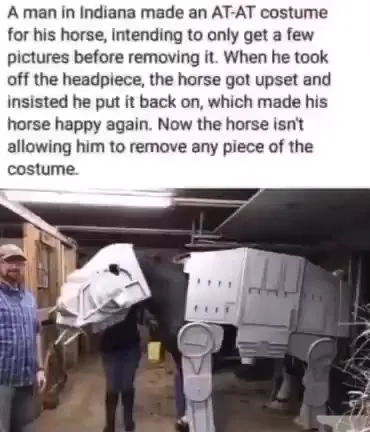 Horse Refuses to Remove AT-AT Costume