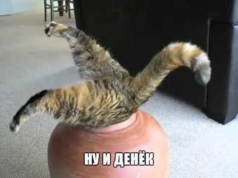 Ну и денёк