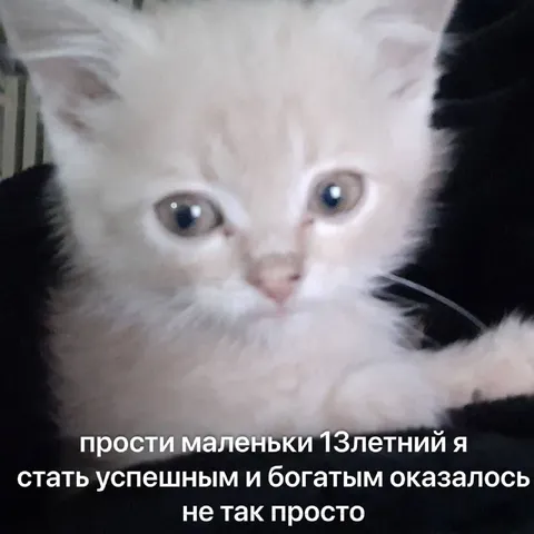 Маленький я и большие мечты