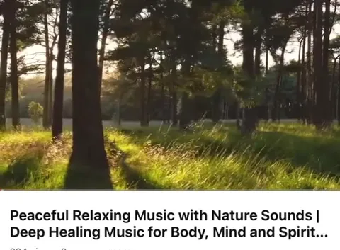 Peaceful Healing Music Interrupted