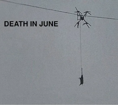 Death in June Spider