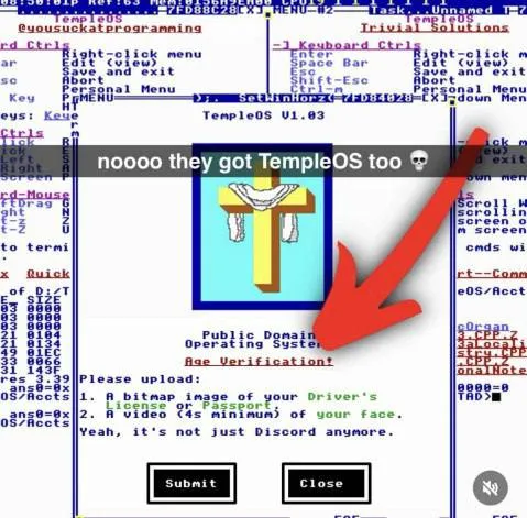 TempleOS Age Verification