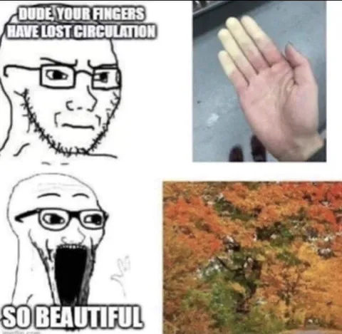 So Beautiful Circulation Wojak