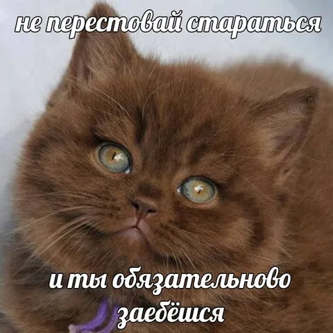 Не переставай стараться