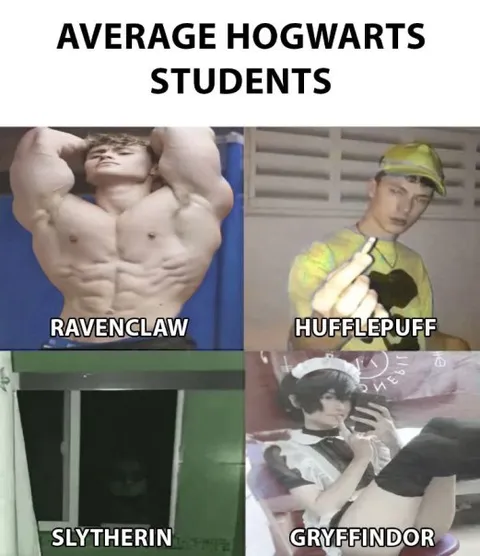 Average Hogwarts Students