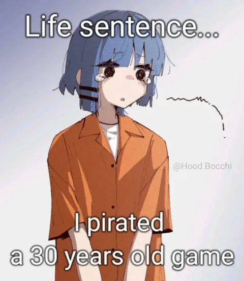 Life Sentence for Pirating an Old Game