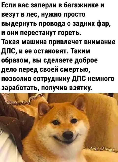 Доброе дело перед смертью