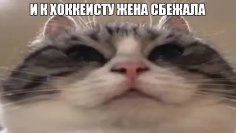 Фрегат с парусами и две строчки