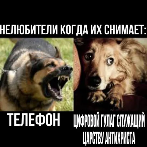 Нелюбители телефона и цифровой гулaг