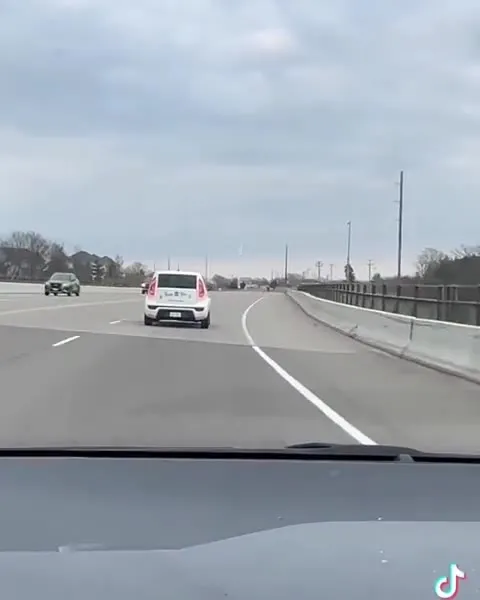 Honk If You Love Pizza