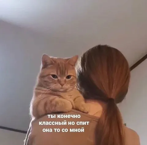 Кот ревнует к девушке