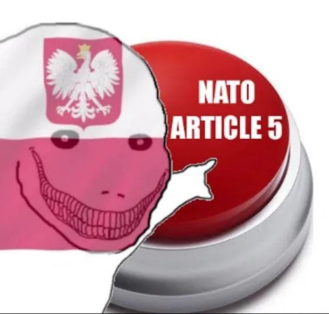 Poland Presses NATO Article 5