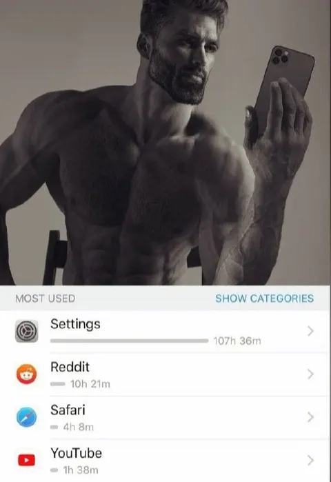 Settings Used More Than Reddit