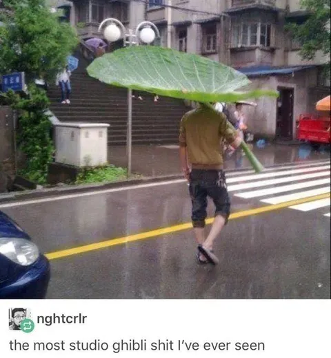 The Most Studio Ghibli Shit