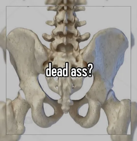 Dead Ass Pelvis