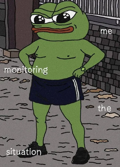 Pepe Monitoring the Situation