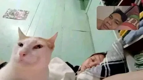 Кот следит за спящими людьми